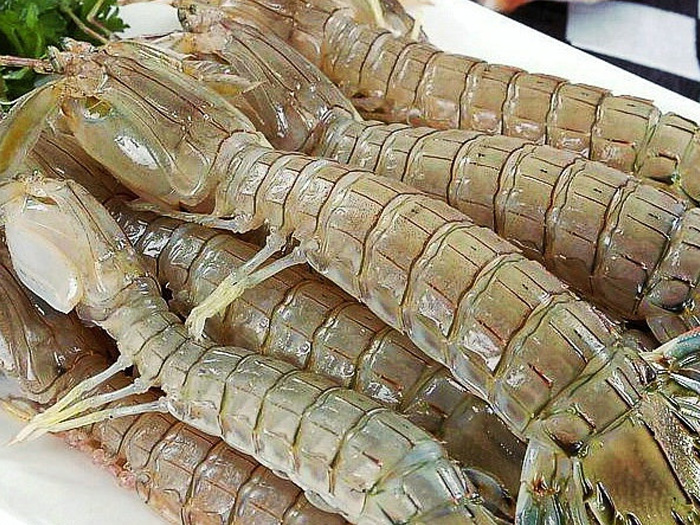 线背螳螂虾（虾姑）