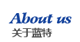 <em>About Us</em>关于我们