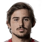 皮图